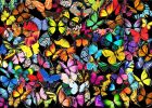 Unique Butterflies Jigsaw Puzzles 1000 Piece