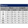 Men's Solid Color Casual Shorts Fashion Straight Cut Pants Beach Shorts Outdoor Sports Shorts